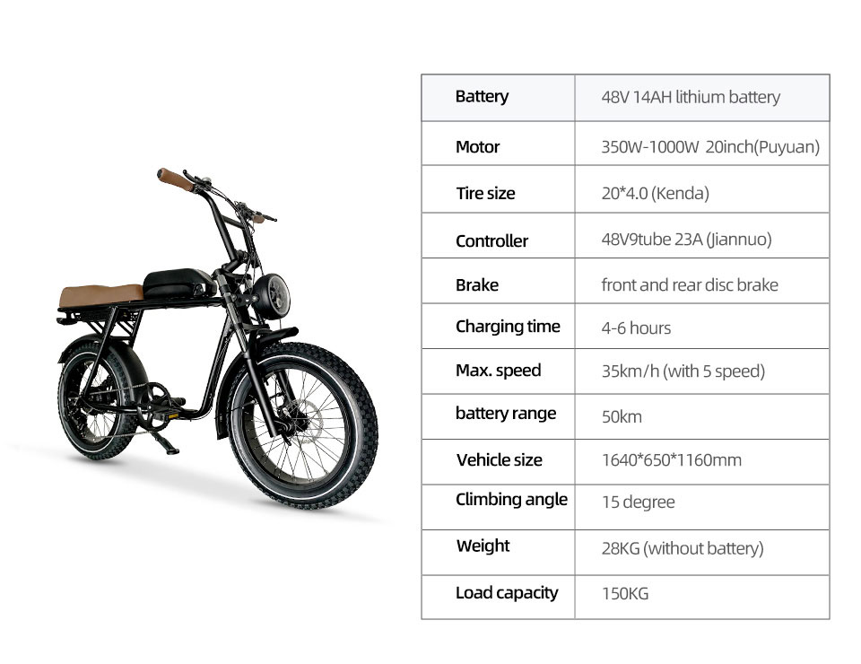 2206 350W-1000W 48V 10.4Ah/14Ah 35km/h Lithium Battery