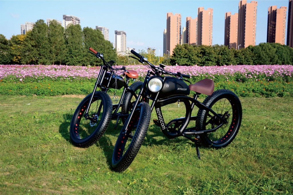 Protect Your Electric Companion Scientific Storage Methods to Extend E-Bike Lifespan - Cyclemix