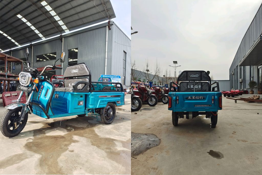 Affordable Electric Tricycle Options – Your Comprehensive Guide - Cyclemix WB1185
