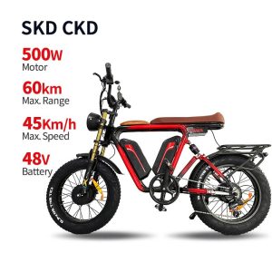 Electric Bike Electric Bicycle V1 Cyclemix