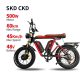 Electric Bike Electric Bicycle V1 Cyclemix