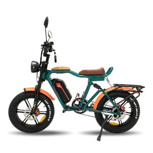 Q1 1000W 48V 22Ah 55kmH External Lithium Battery Electric Bike 1