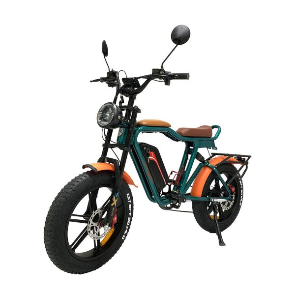 Q1 1000W 48V 22Ah 55kmH External Lithium Battery Electric Bike 7
