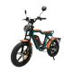 Q1 1000W 48V 22Ah 55kmH External Lithium Battery Electric Bike 7
