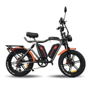 Q1S 48V 22Ah×2 Lithium Battery Magnesium Alloy Integrated Wheel Ebike 1