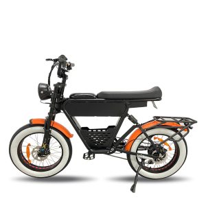 V1S Optional 500W 750W 1000W 20inch 48V 35Ah Lithium Battery EBike 1