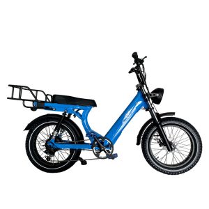 2205 350W-1000W 48V 13Ah14Ah 35kmh Lithium Battery Electric Bike 1