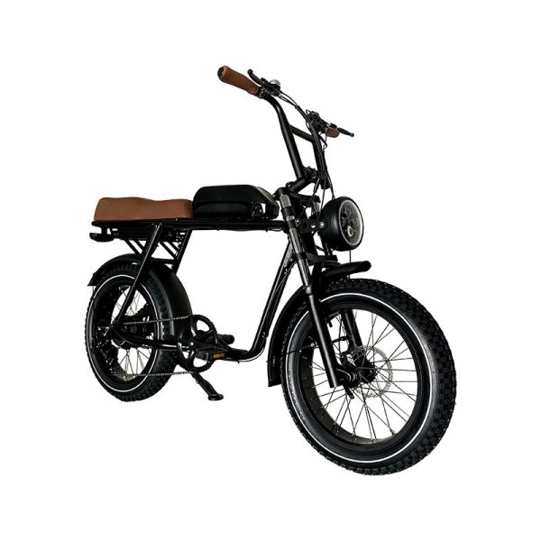 2206 350W-1000W 48V 10.4Ah14Ah 35kmh Lithium Battery Electric Bike 2