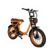 2207 350W 48V 10.4Ah14Ah 38kmh Lithium Battery Electric Bike 2