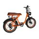 2207 350W 48V 10.4Ah14Ah 38kmh Lithium Battery Electric Bike 3