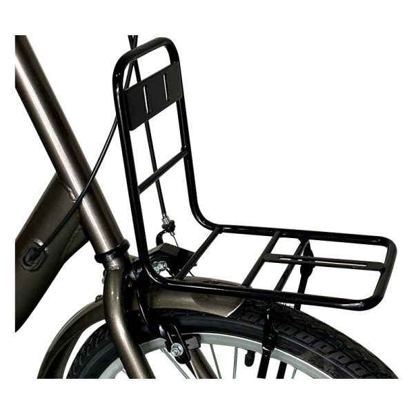 2220 250W 36V 7.8Ah10.5Ah 25kmh Lithium Battery Electric Bike 6