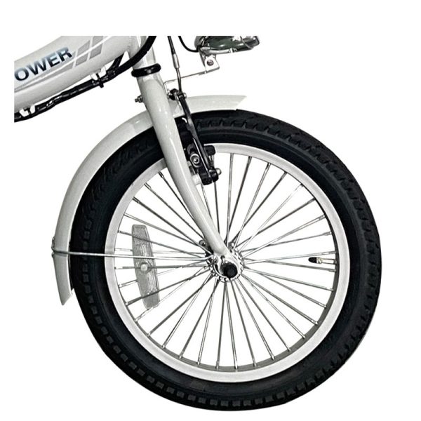 308-5 250W 24V 12Ah 25kmh Lithium Battery Electric Bike 3