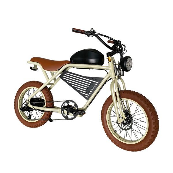 2211 350W-1000W 48V 16Ah19.2Ah 35kmh Lithium Battery Electric Bike 2
