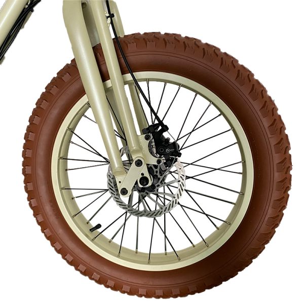 2211 350W-1000W 48V 16Ah19.2Ah 35kmh Lithium Battery Electric Bike 9