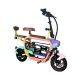 2303 350W 48V 15Ah 30kmh Lithium Battery Electric Bike 2