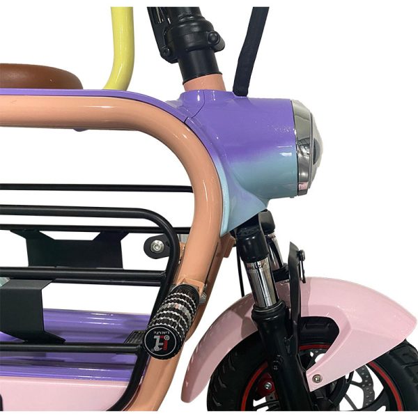 2303 350W 48V 15Ah 30kmh Lithium Battery Electric Bike 5