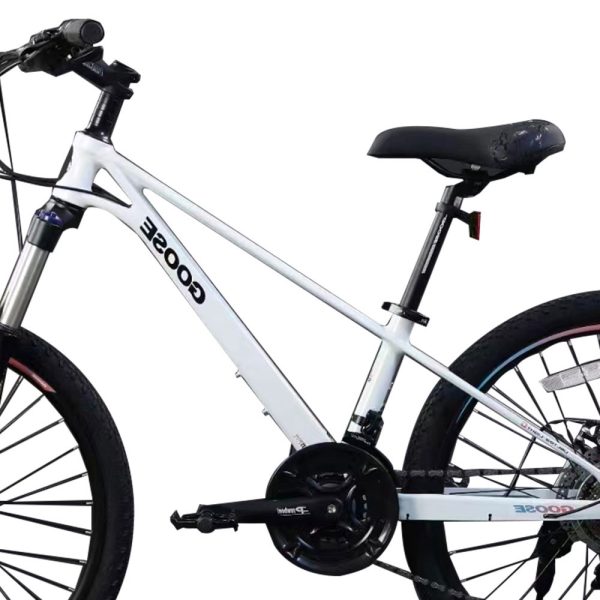 24Xingmei High Quality 24 Inch 21 Speed Adult Bicycle Mountain Bike 3