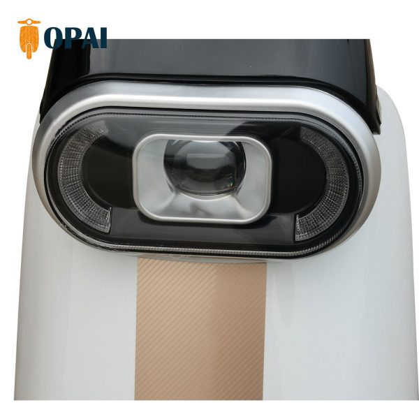 GB-21 650W 48V 20 24Ah 43KmH Range 60-80Km Electric Bikes 4