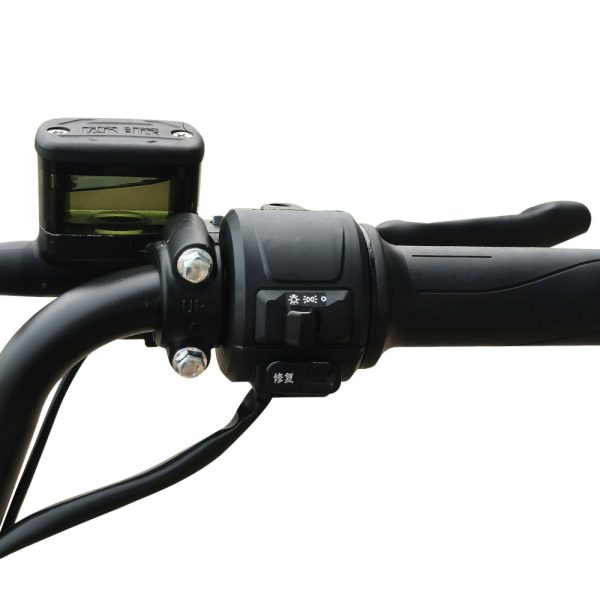 GB-21 650W 48V 20 24Ah 43KmH Range 60-80Km Electric Bikes 7