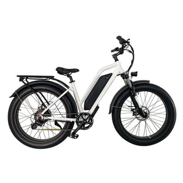 Qilin 26 Inch Fat Tire Electric Snow Bike Electric Mountain Bike 2