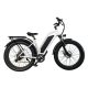 Qilin 26 Inch Fat Tire Electric Snow Bike Electric Mountain Bike 2
