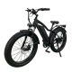 Qilin 26 Inch Fat Tire Electric Snow Bike Electric Mountain Bike 3