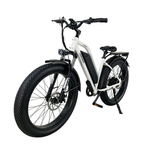 Qilin 26 Inch Fat Tire Electric Snow Bike Electric Mountain Bike 4