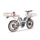Z-2 1000W 48V 22Ah 52kmh 204.0 Tire Lithium Battery Electric Bike 2