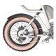 Z-2 1000W 48V 22Ah 52kmh 204.0 Tire Lithium Battery Electric Bike 5