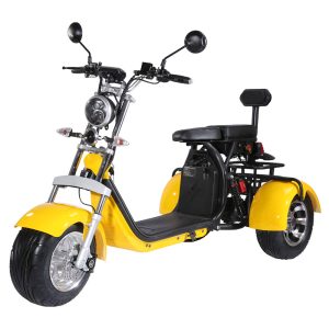 CP3.0 EEC 2000W 60V 12A Removable Lithium Battery Harley Electric Tricycle 1