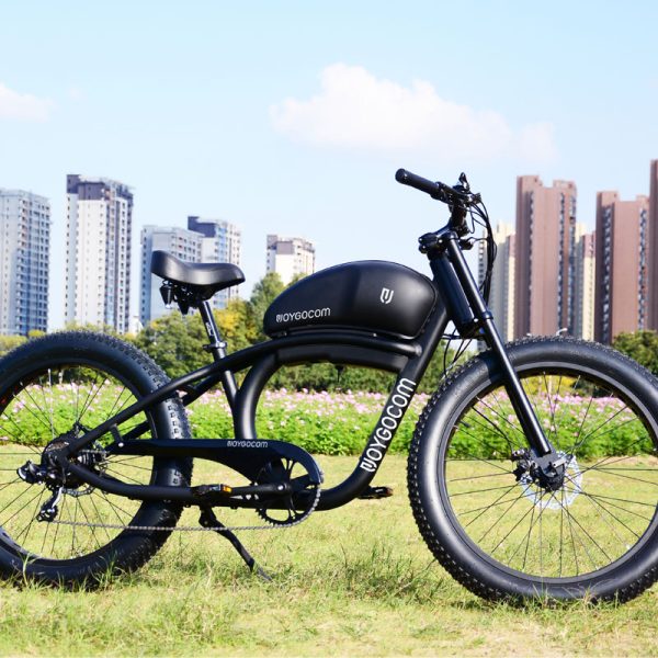 FY 500W-1000W 48V 15Ah-25Ah 50KmH Lithium Battery Electric Bike 2
