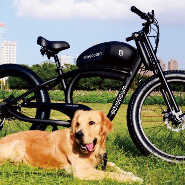 FY 500W-1000W 48V 15Ah-25Ah 50KmH Lithium Battery Electric Bike 4