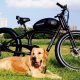 FY 500W-1000W 48V 15Ah-25Ah 50KmH Lithium Battery Electric Bike 4