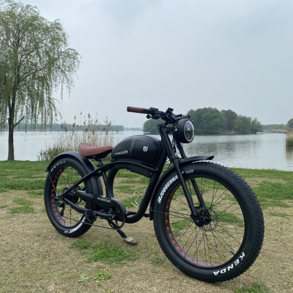 FY 500W-1000W 48V 15Ah-25Ah 50KmH Lithium Battery Electric Bike 6