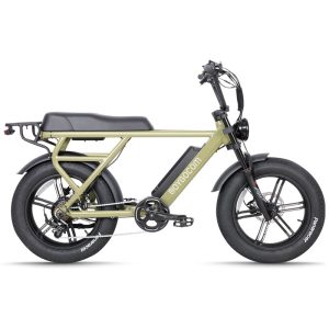 JG-TDN30Z 500W 48V 12.8Ah 32KmH Lithium Battery Electric Bike 1