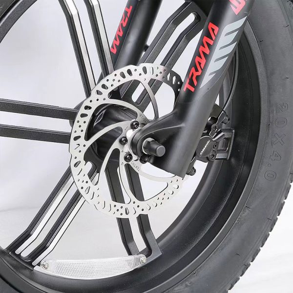 JG-TDN30Z 500W 48V 12.8Ah 32KmH Lithium Battery Electric Bike 6