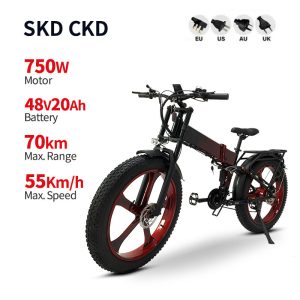 Electric Bike DGHM-78 750W 48V 20Ah 55kmh images01