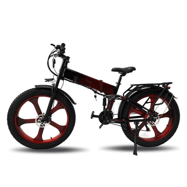 Electric Bike DGHM-78 750W 48V 20Ah 55kmh images02