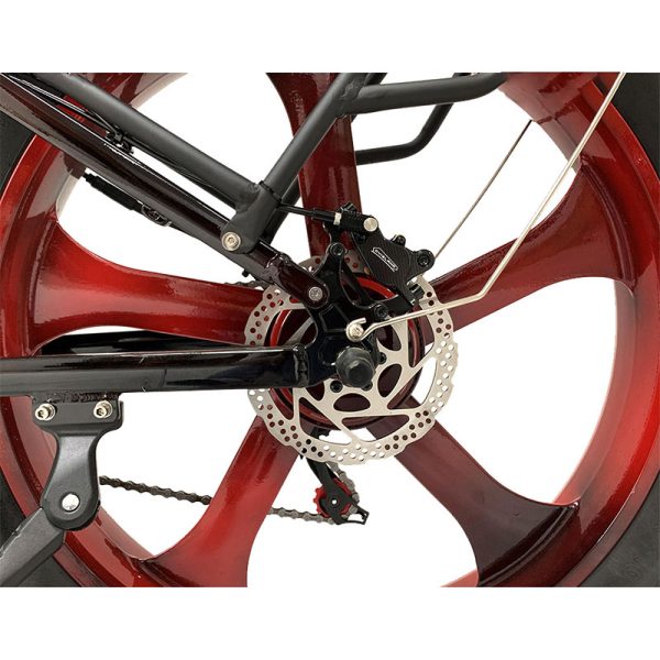 Electric Bike DGHM-78 750W 48V 20Ah 55kmh images05
