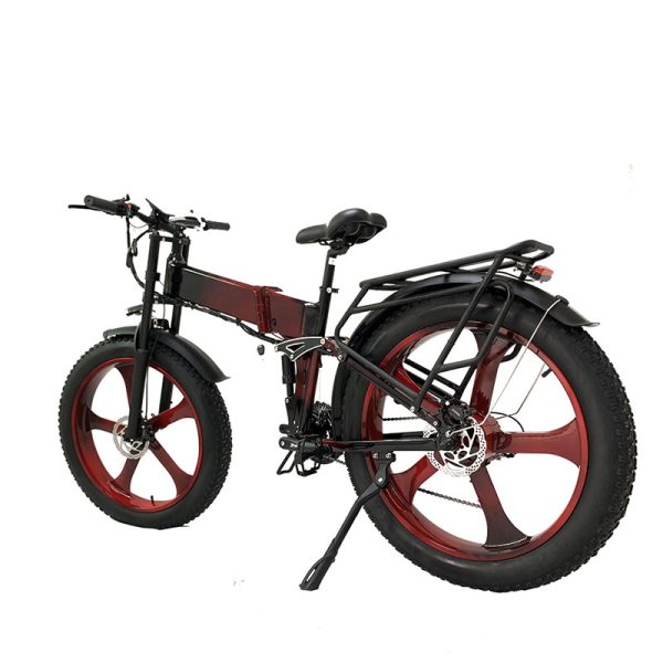 Electric Bike DGHM-78 750W 48V 20Ah 55kmh images09