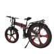 Electric Bike DGHM-78 750W 48V 20Ah 55kmh images09