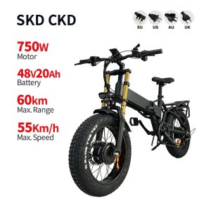 Electric Bike DGZC-78 750W 48V 20Ah 55kmh images01