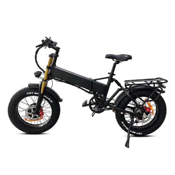 Electric Bike DGZC-78 750W 48V 20Ah 55kmh images02
