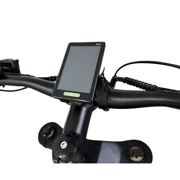 Electric Bike DGZC-78 750W 48V 20Ah 55kmh images04