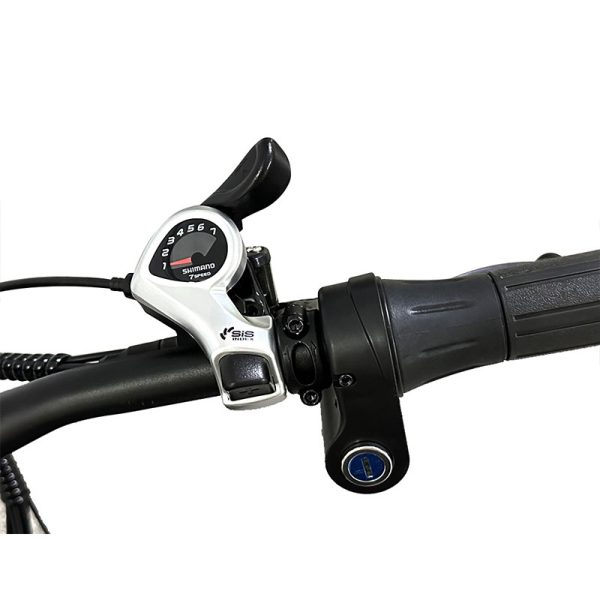 Electric Bike DGZC-78 750W 48V 20Ah 55kmh images05