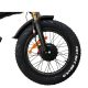 Electric Bike DGZC-78 750W 48V 20Ah 55kmh images06