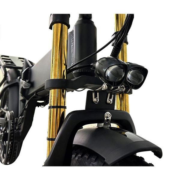 Electric Bike DGZC-78 750W 48V 20Ah 55kmh images07