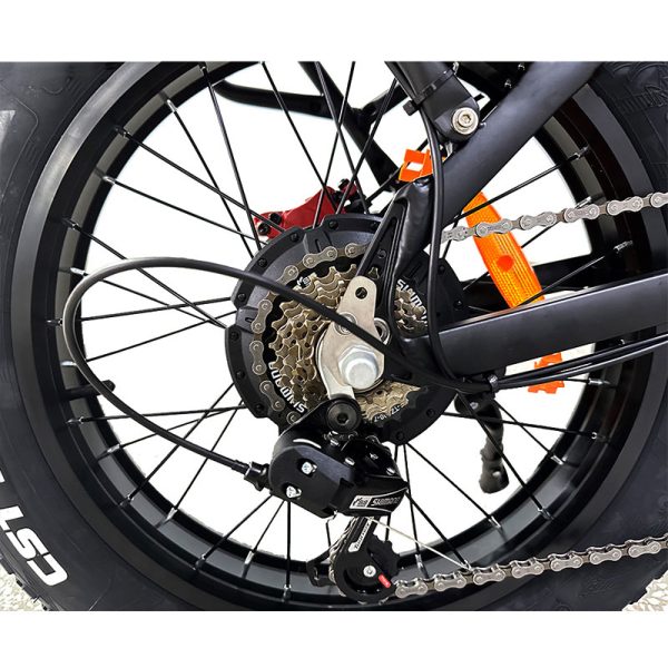 Electric Bike DGZC-78 750W 48V 20Ah 55kmh images08