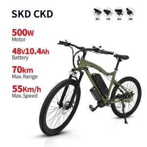 Electric Bike HL 500W 48V 10.4Ah 55kmh images01