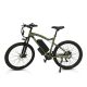 Electric Bike HL 500W 48V 10.4Ah 55kmh images02